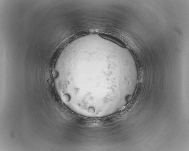 X0000115020363200911161451