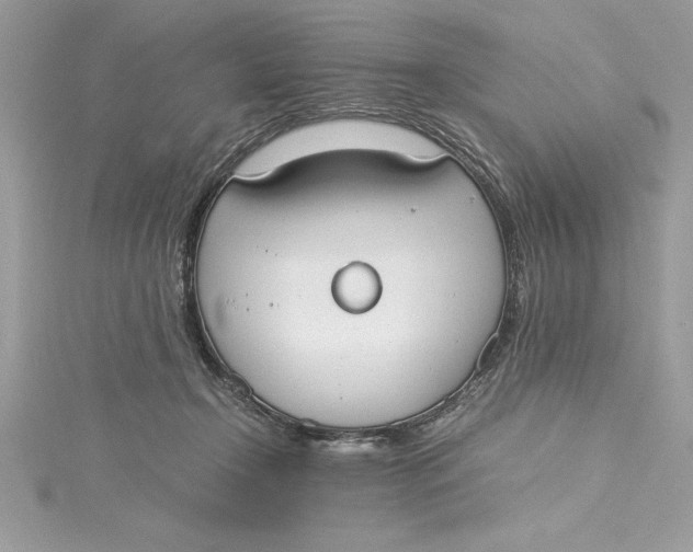 X0000115020366200911161451