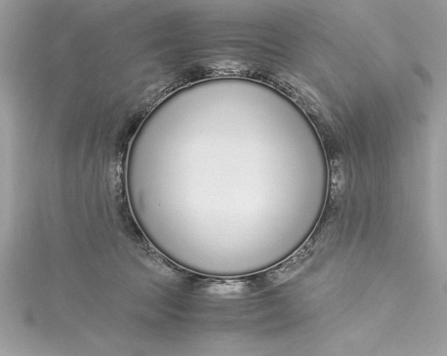 X0000115020369200911161451