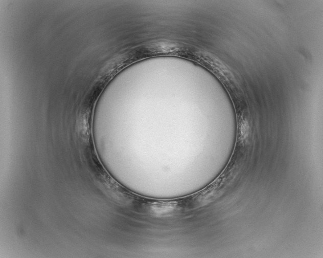 X0000115020373200911161451