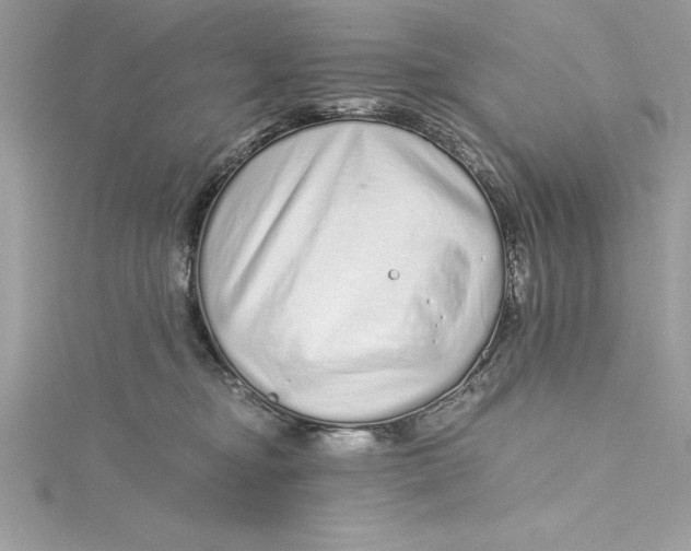 X0000115020374200911161451