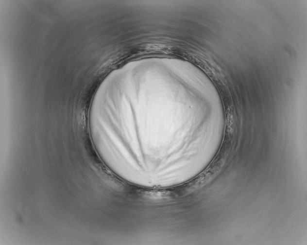 X0000115020375200911161451