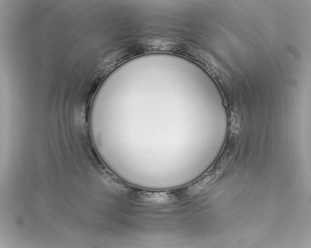 X0000115020377200911161451