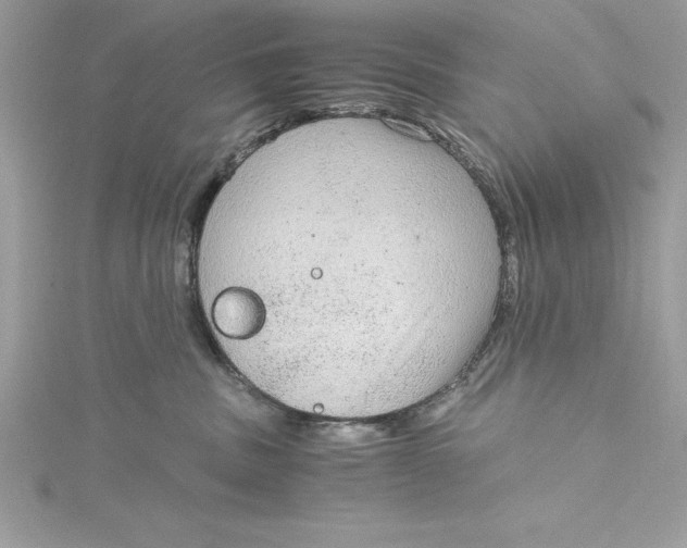 X0000115020379200911161451