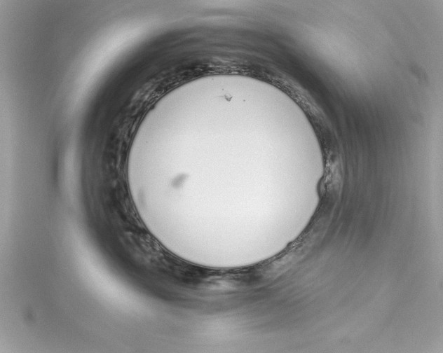 X0000115020381200911161451