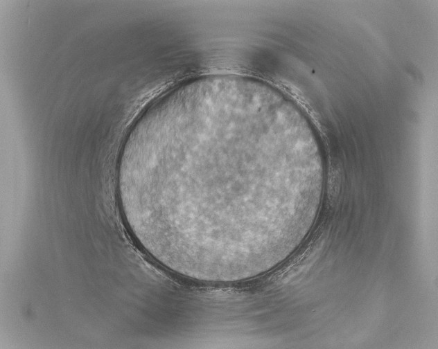 X0000115020385200911161451