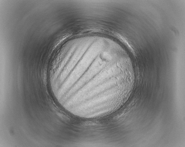 X0000115020386200911161451