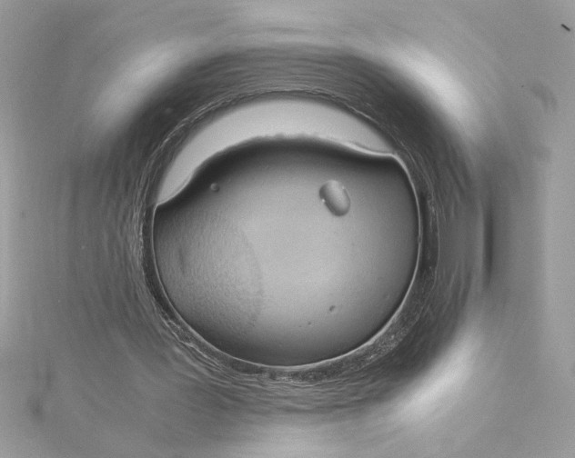 X0000115020387200911161451