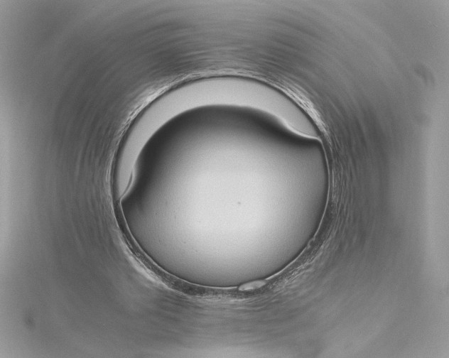 X0000115020389200911161450