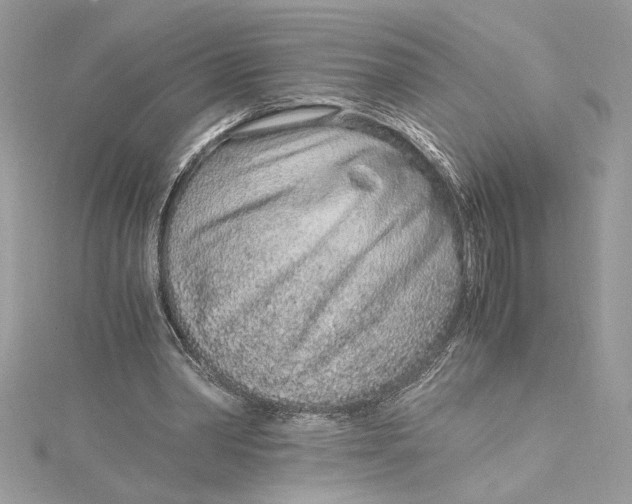 X0000115020390200911161450