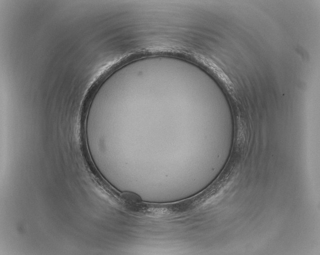 X0000115020391200911161450