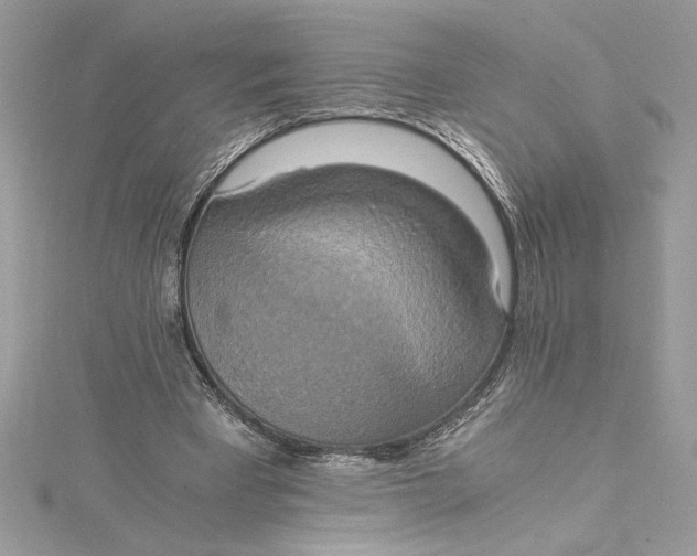 X0000115020393200911161450