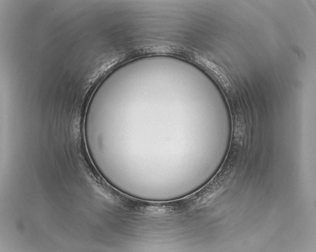 X0000115020394200911161450