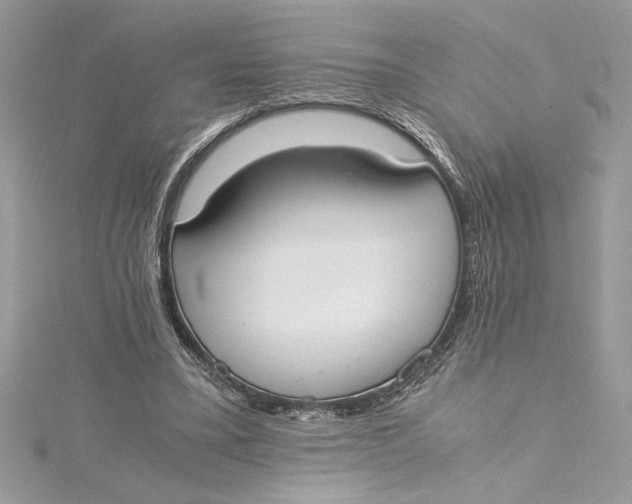 X0000115020395200911161450