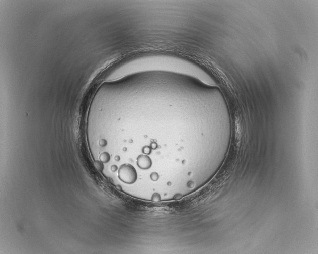 X0000115020396200911161450