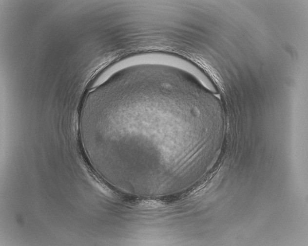 X0000115020397200911161450