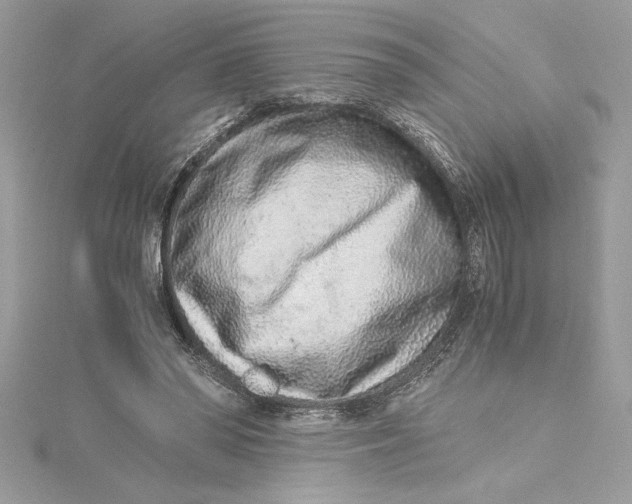 X0000115020398200911161450