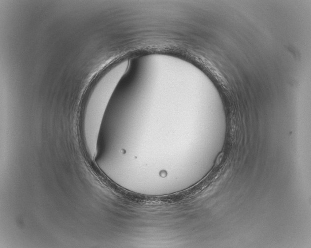 X0000115020399200911161450