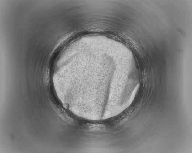 X0000115020400200911161450