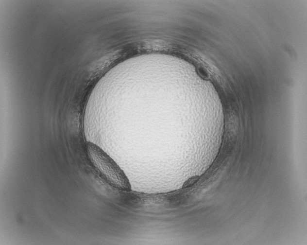 X0000115020401200911161450