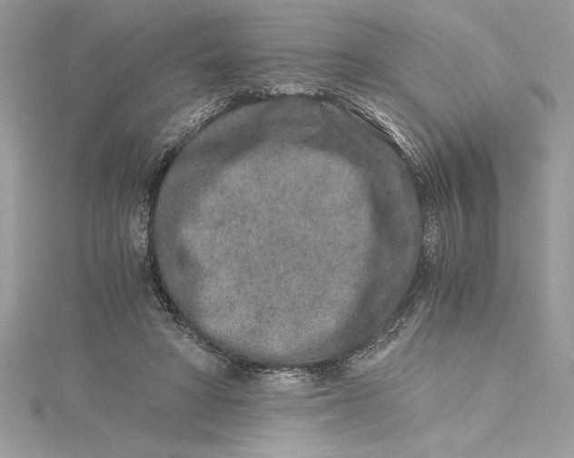 X0000115020402200911161450