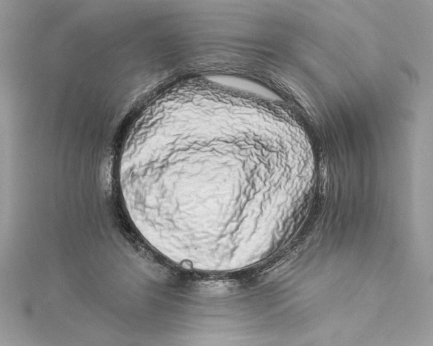 X0000115020404200911161450