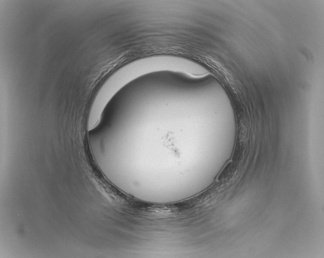 X0000115020405200911161450