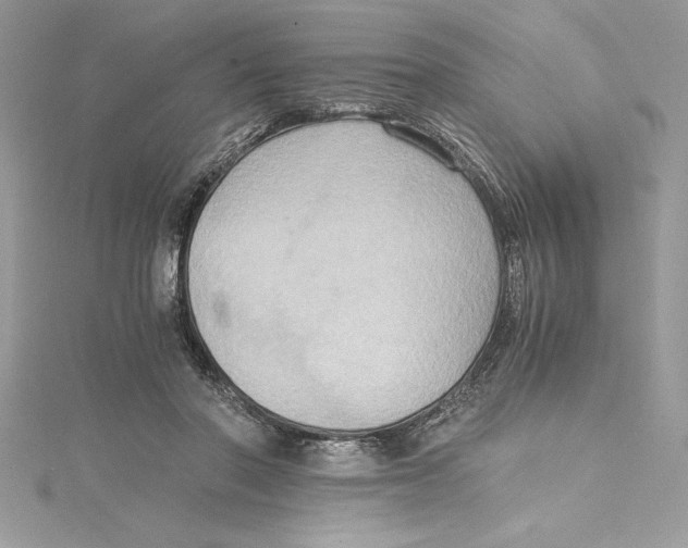 X0000115020406200911161450