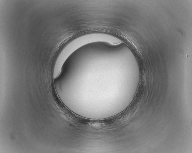 X0000115020407200911161450