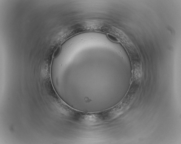 X0000115020411200911161450