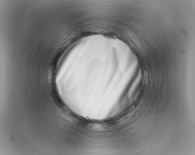 X0000115020412200911161450