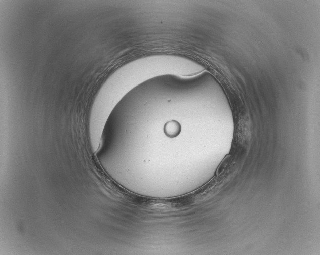 X0000115020413200911161450