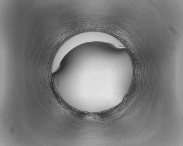 X0000115020415200911161450