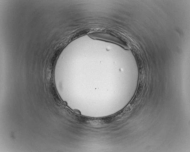 X0000115020417200911161450