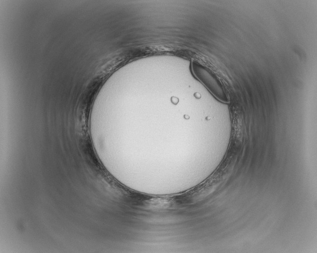 X0000115020418200911161450