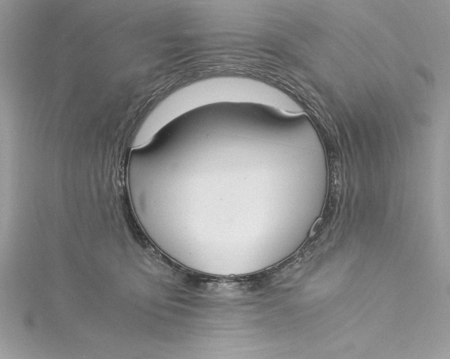 X0000115020419200911161450