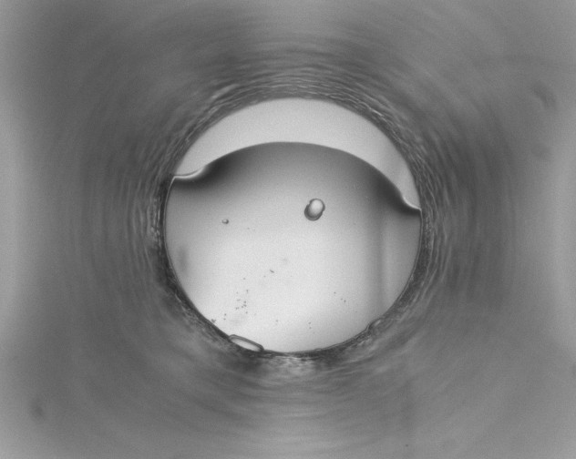 X0000115020421200911161450