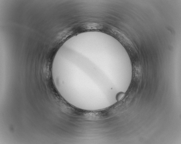 X0000115020422200911161450