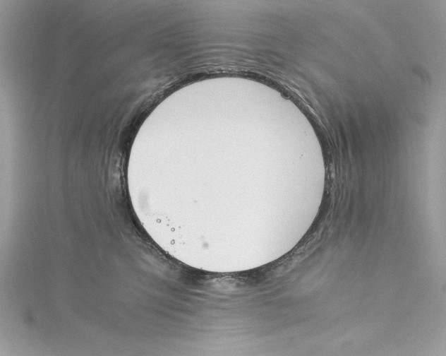 X0000115020423200911161450