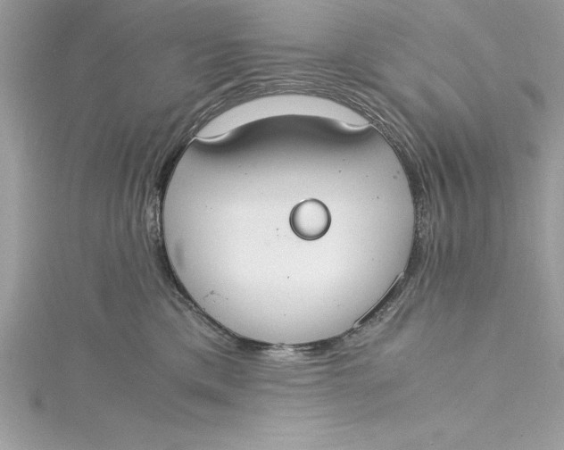 X0000115020425200911161450