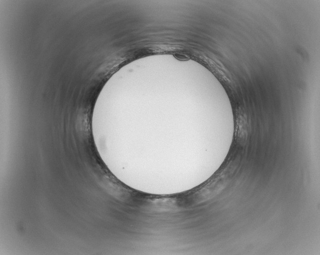 X0000115020426200911161450