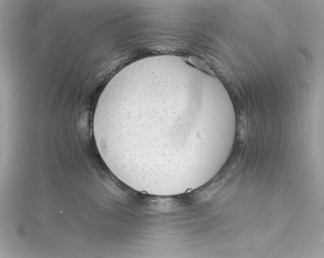 X0000115020428200911161450