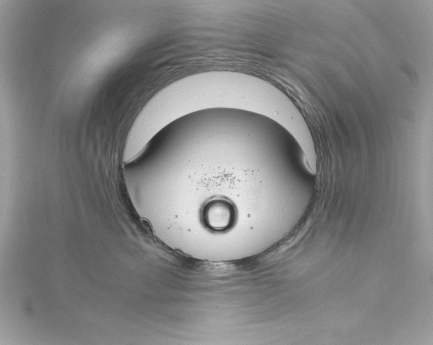 X0000115020429200911161450