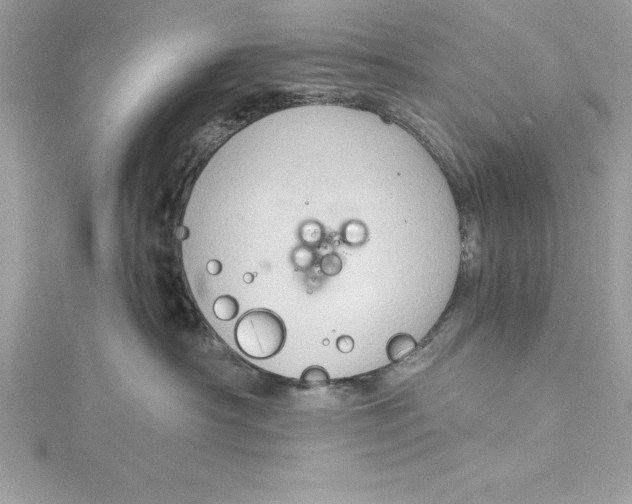 X0000115020430200911161450