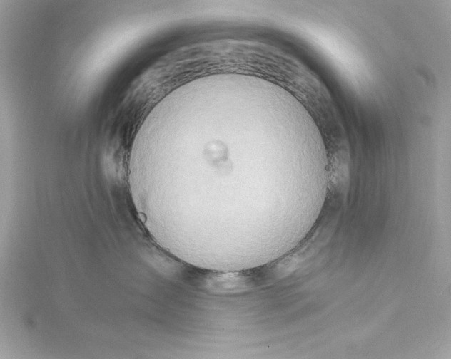 X0000115020431200911161450