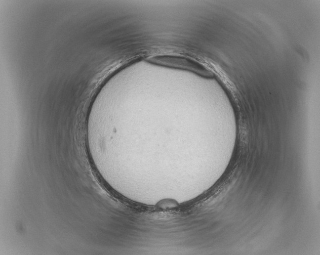 X0000115020433200911161449