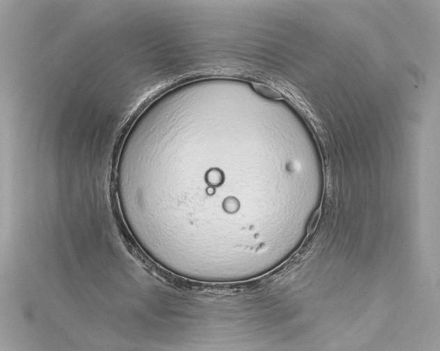 X0000115020434200911161449