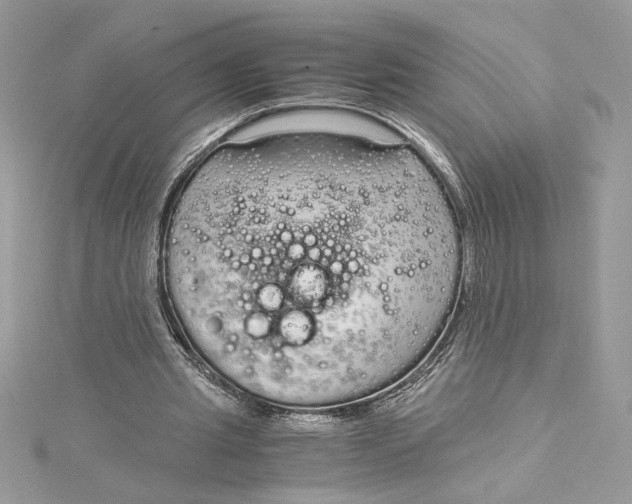 X0000115020437200911161449