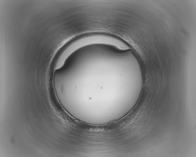 X0000115020440200911161449