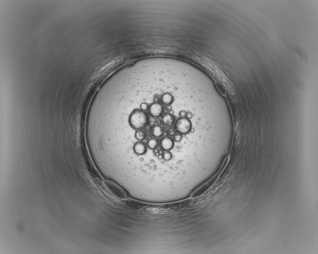 X0000115020442200911161449